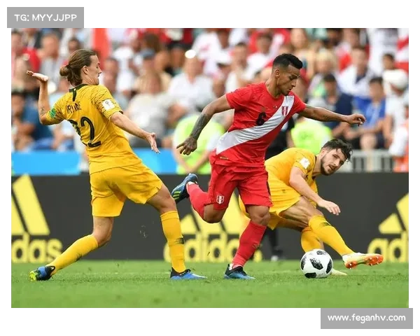 芬兰国脚中场马基耶夫脚踝受伤 无缘对阵荷兰比赛